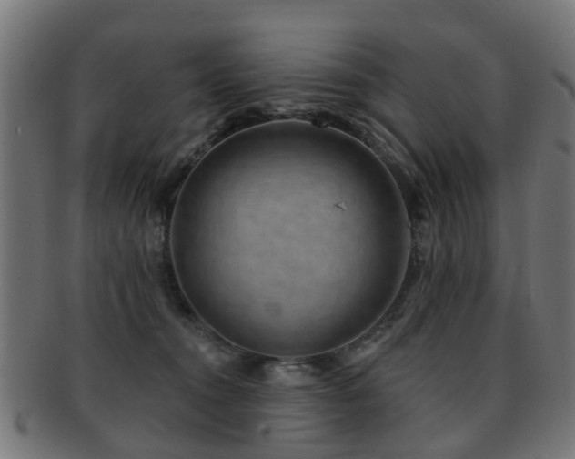 X0000091890372200709051348