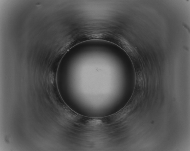X0000091890374200709051348