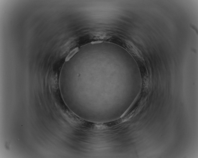 X0000091890376200709051348