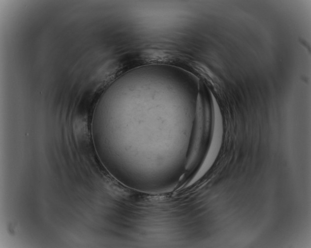 X0000091890377200709051348