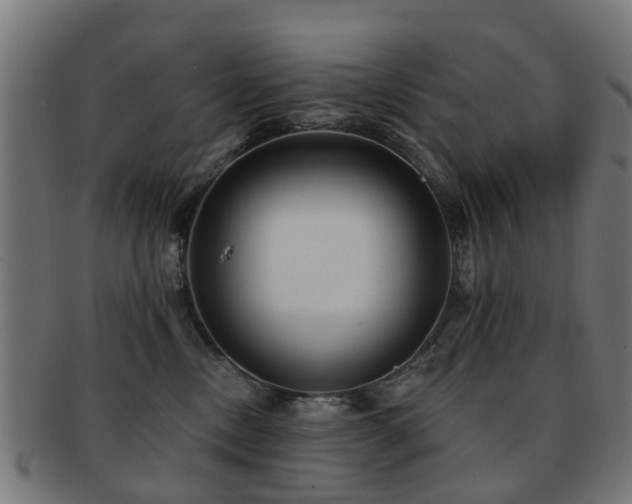 X0000091890378200709051348