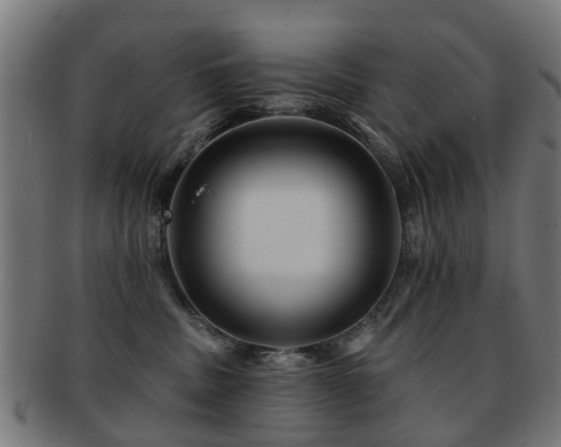 X0000091890379200709051348