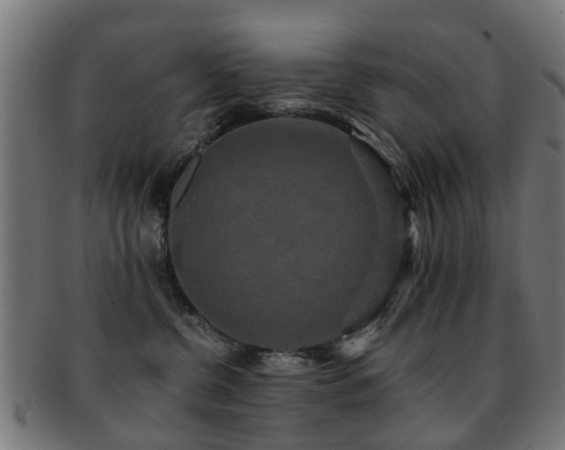 X0000091890380200709051348