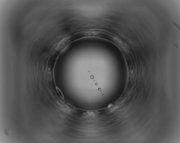 X0000091890381200709051348