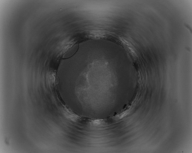 X0000091890382200709051348