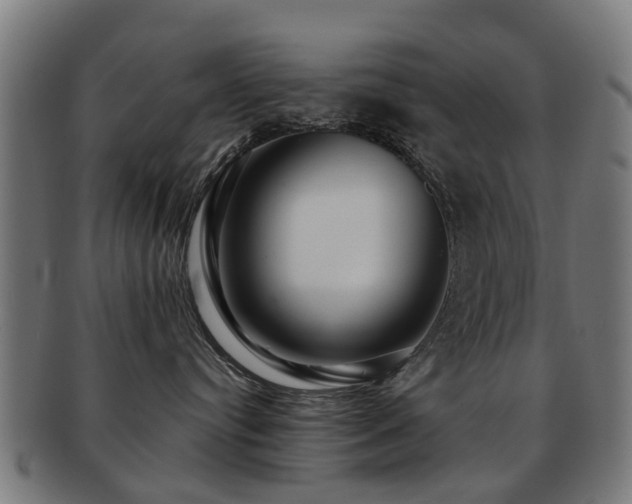 X0000091890384200709051348