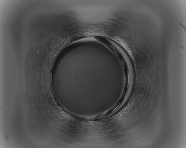 X0000091890385200709051347