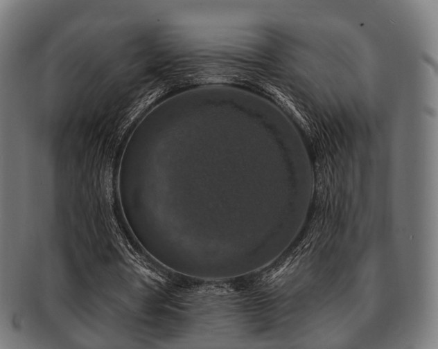 X0000091890386200709051347