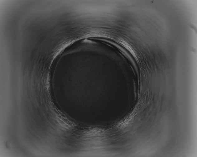 X0000091890387200709051347