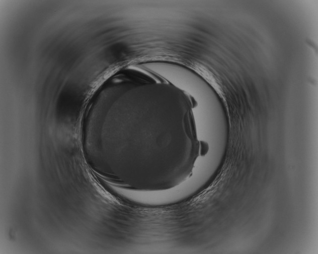 X0000091890389200709051347