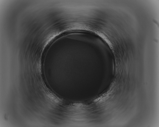 X0000091890391200709051347