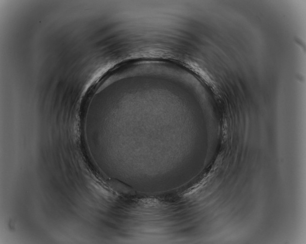 X0000091890392200709051347