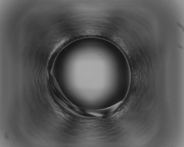 X0000091890395200709051347