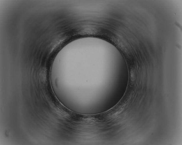 X0000091890396200709051347