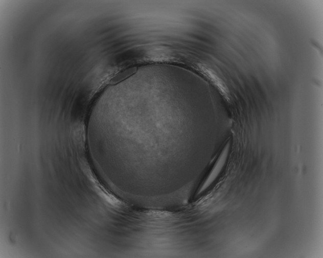 X0000091890397200709051347