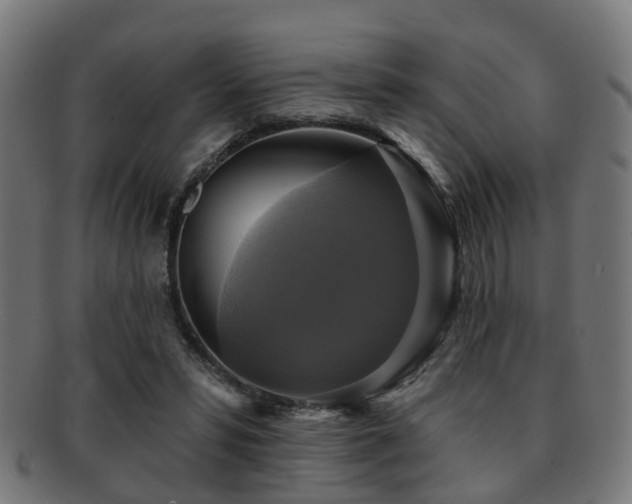 X0000091890399200709051347