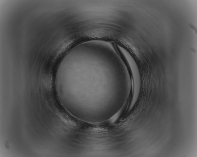 X0000091890400200709051347