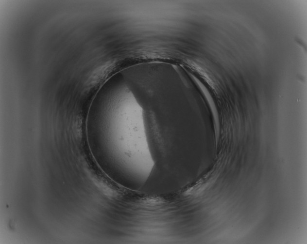 X0000091890402200709051347
