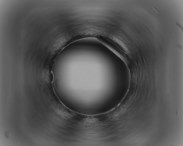 X0000091890403200709051347