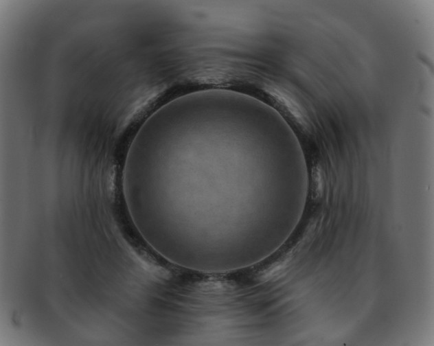X0000091890404200709051347