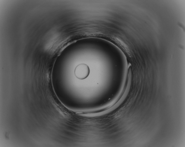X0000091890405200709051347