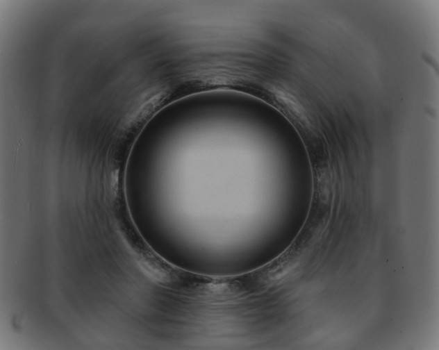 X0000091890406200709051347