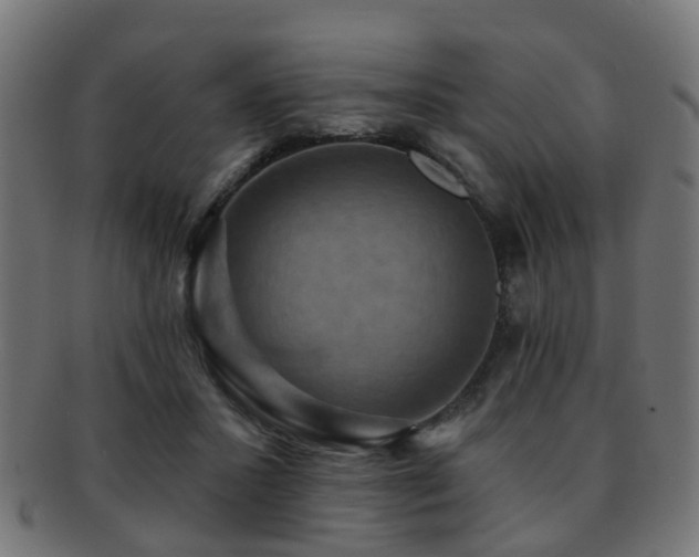 X0000091890407200709051347