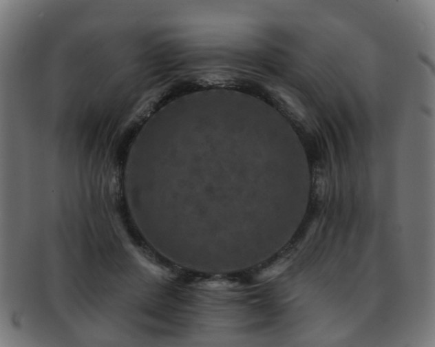 X0000091890408200709051347