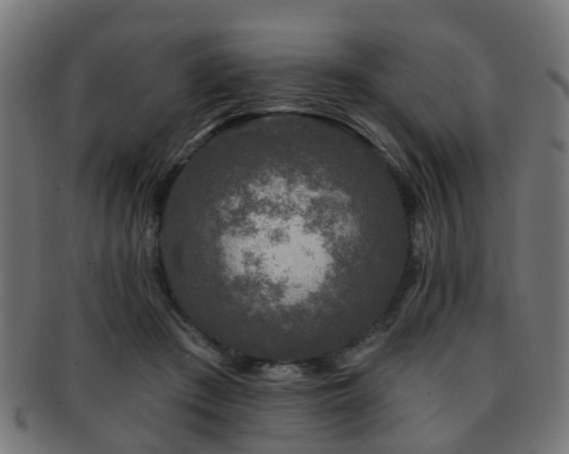 X0000091890409200709051347