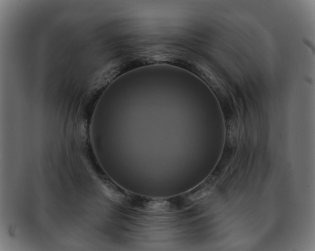 X0000091890410200709051347