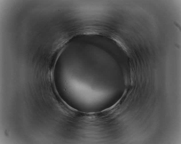 X0000091890411200709051347