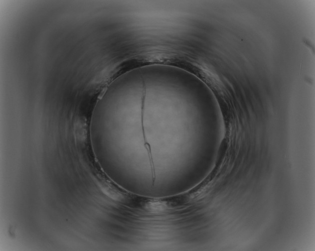 X0000091890413200709051347