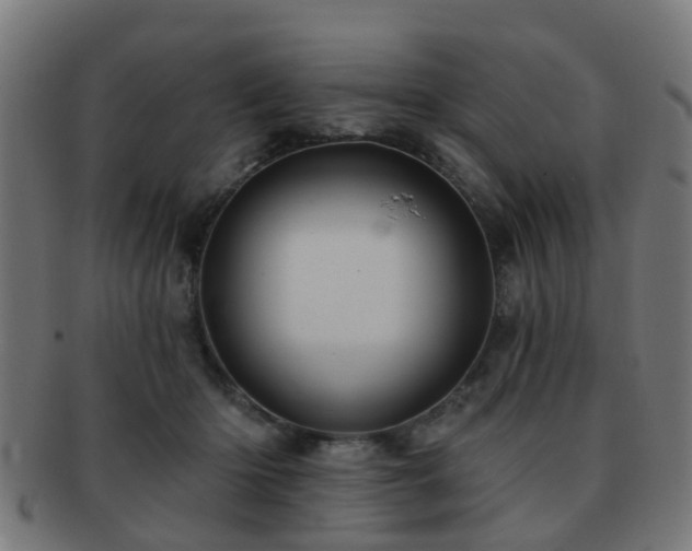 X0000091890414200709051347