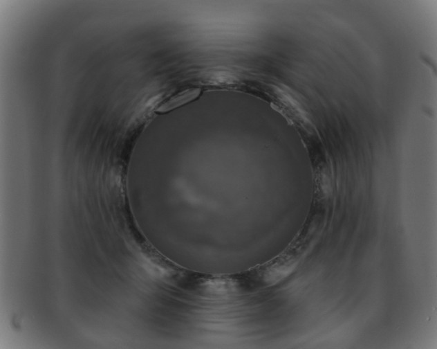 X0000091890415200709051347