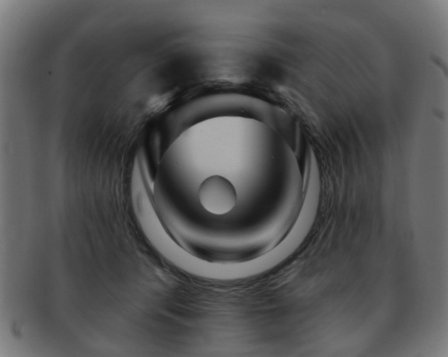 X0000091890416200709051347