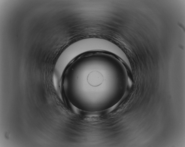 X0000091890417200709051347