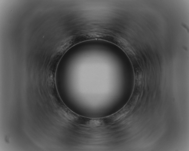 X0000091890418200709051347