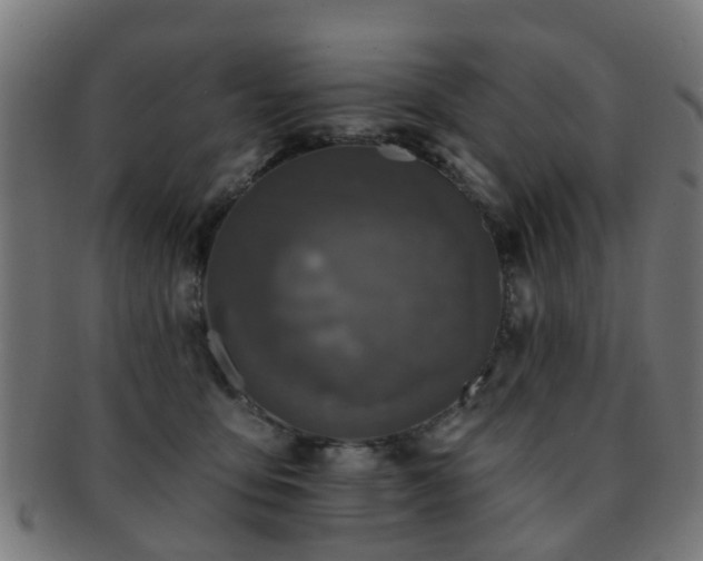 X0000091890419200709051347