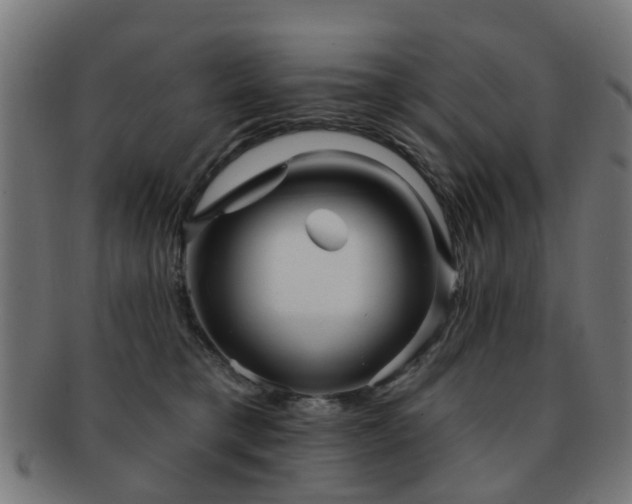 X0000091890421200709051347