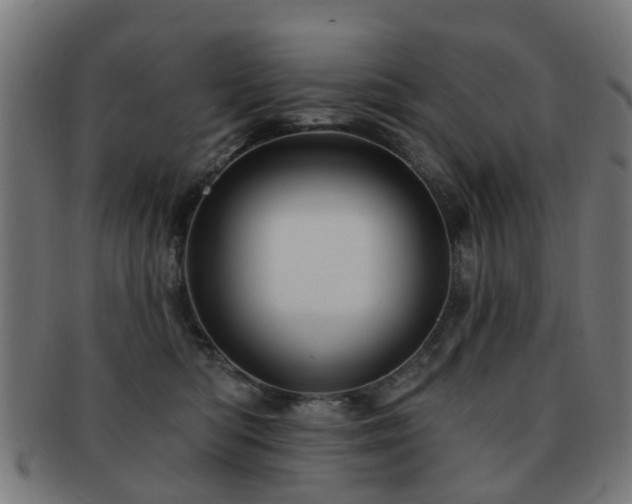 X0000091890422200709051347