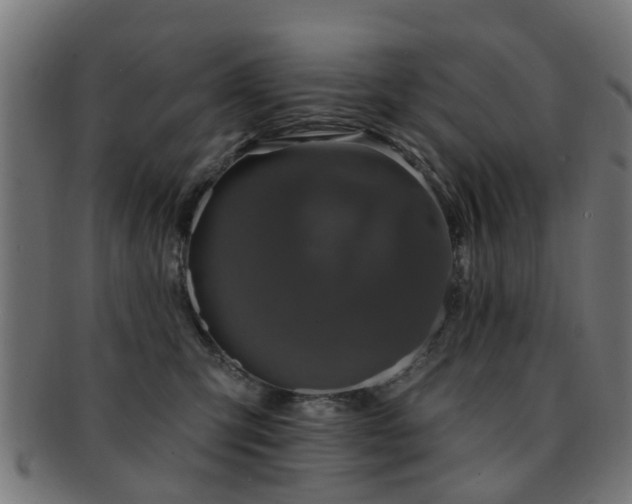 X0000091890423200709051347