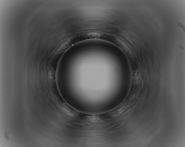 X0000091890424200709051347