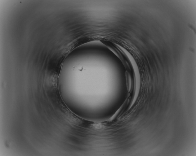 X0000091890425200709051347
