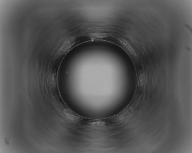 X0000091890426200709051347