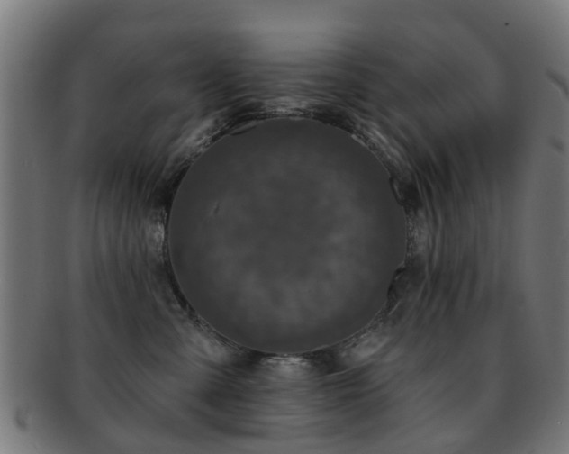 X0000091890427200709051347