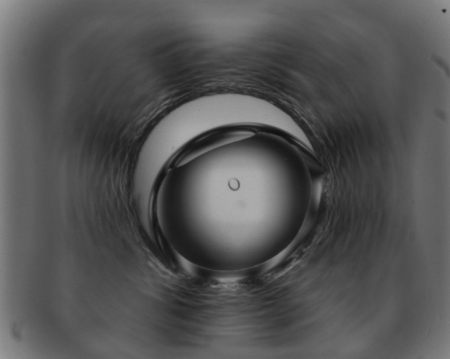 X0000091890428200709051347