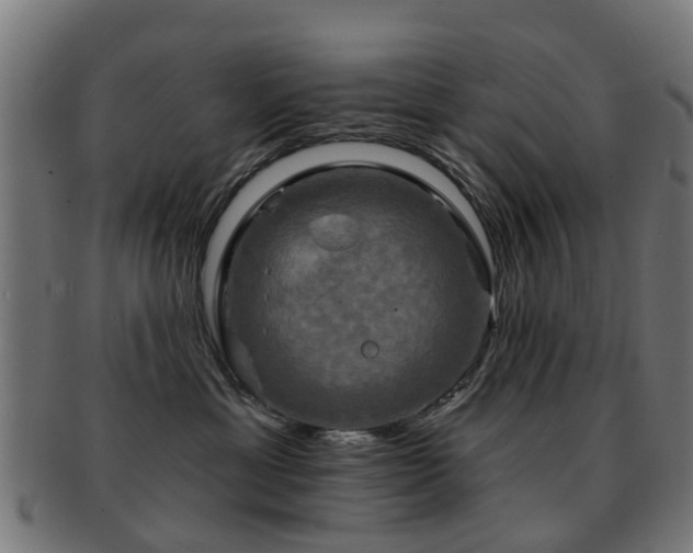 X0000091890429200709051347