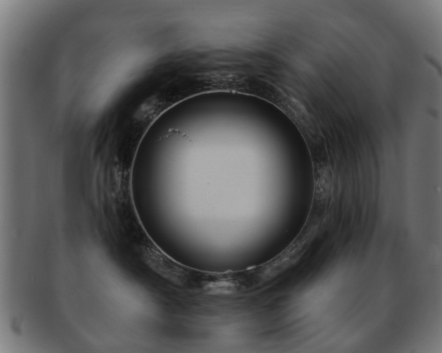 X0000091890430200709051347