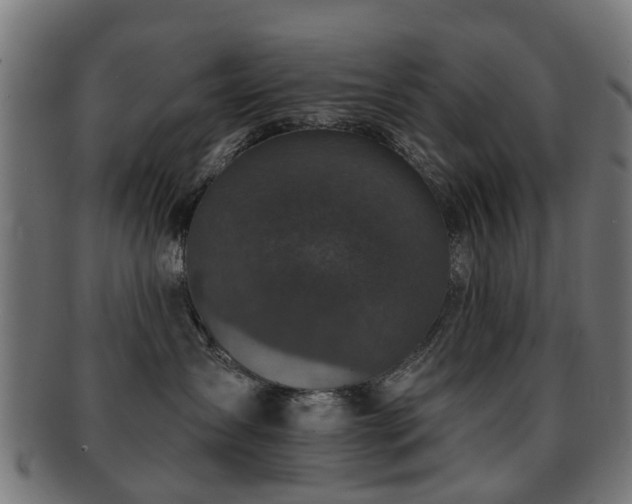 X0000091890431200709051347