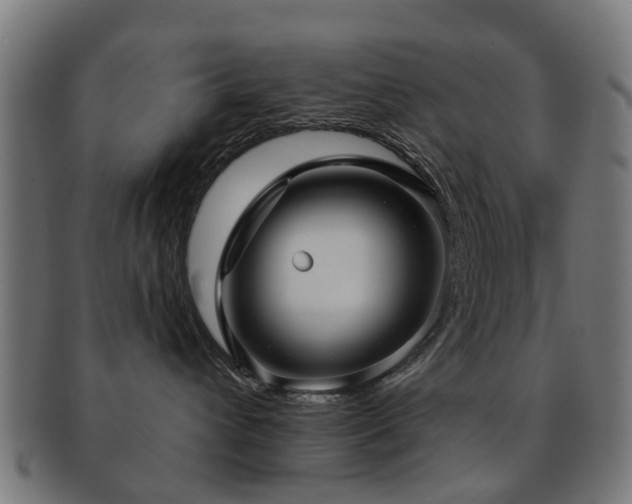 X0000091890432200709051347